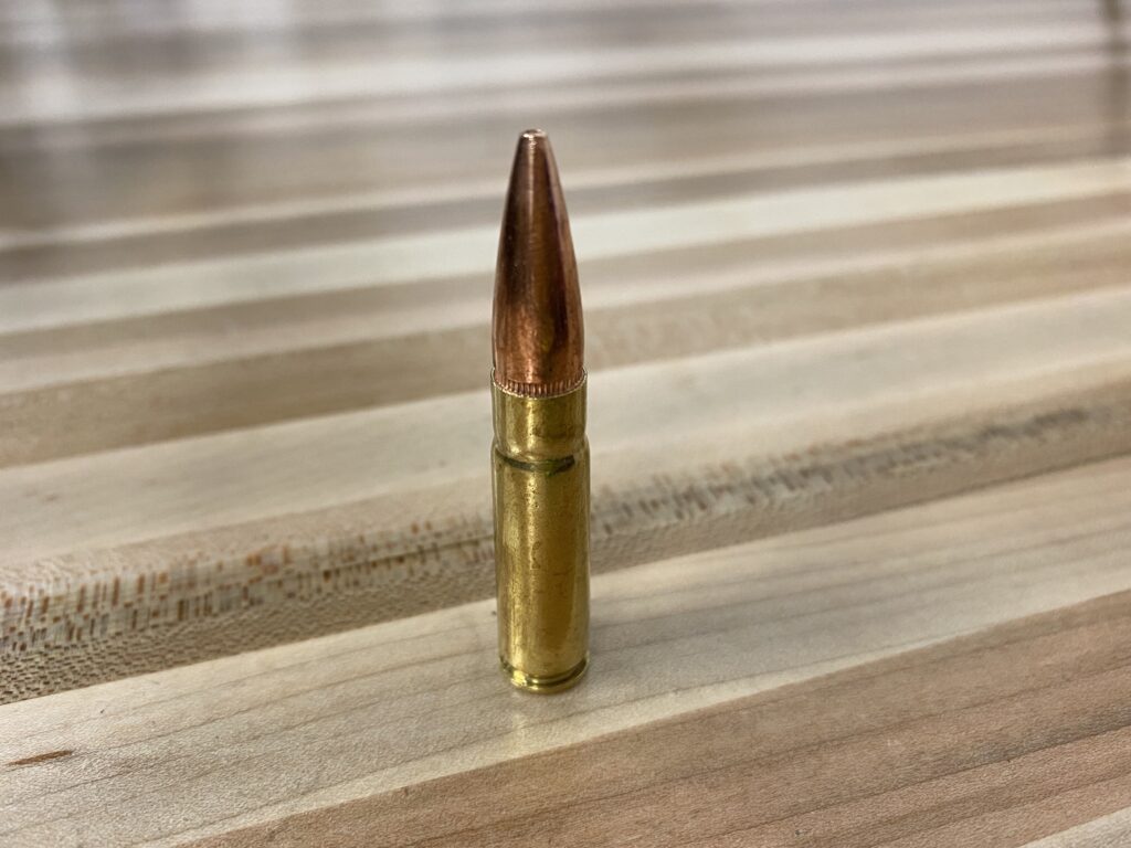 .300 AAC Blackout - 1st Round Ammo